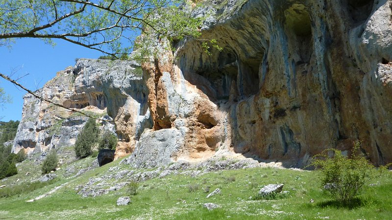 P1010077.JPG - Rio Lobos: Ideale Bruthöhlen im Sandstein.