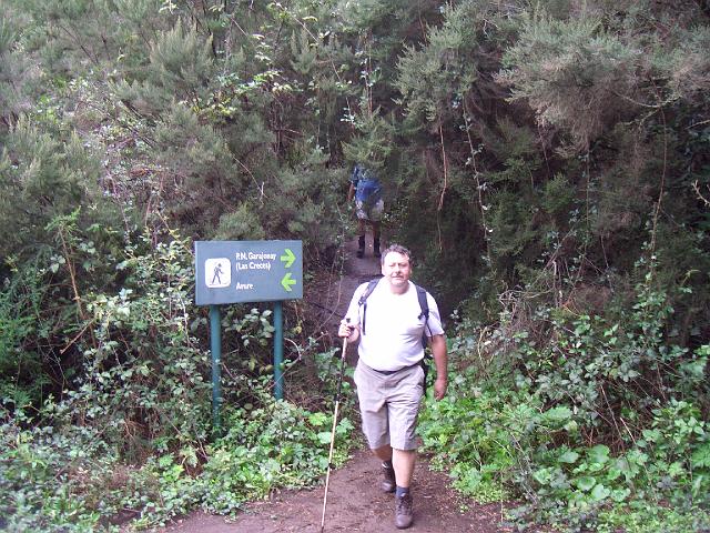 CIMG1013.JPG - Wanderung bei Las Creces (Tour 18 bei Rother): Wir kommen aus dem Wald heraus.