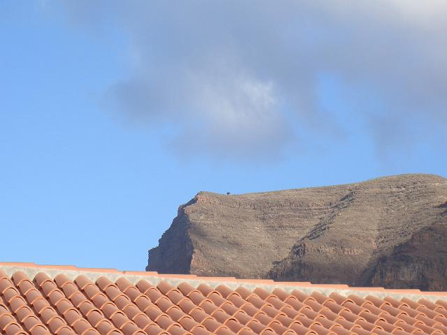 CIMG1083.JPG - Valle Gran Rey/Ferienwohnung: Blick zum Aussichtspunkt mit Wacholderbaum beim Merica.
