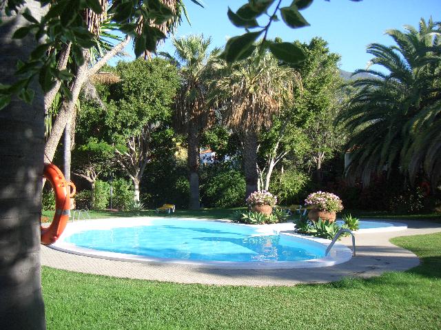 CIMG1900.JPG - La Palma Jardin: Blick zum Pool im Garten