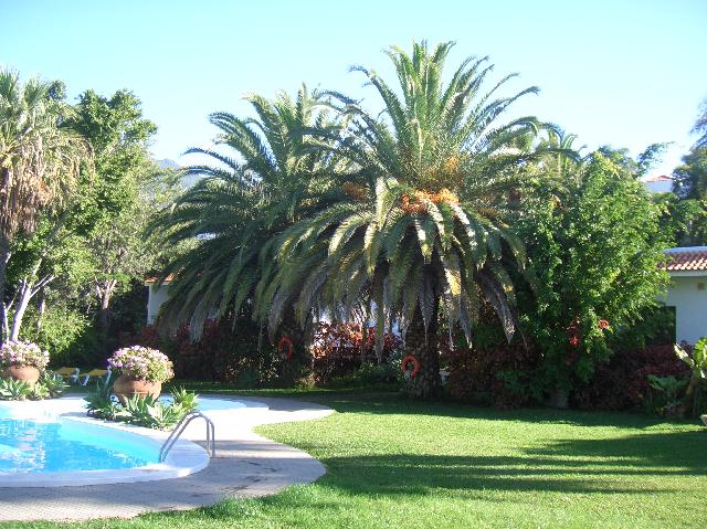 CIMG1901.JPG - La Palma Jardin: Blick zum Pool im Garten 2