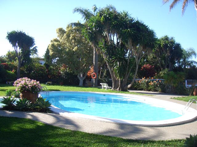 CIMG1903.JPG - La Palma Jardin: Blick zum Pool im Garten 3