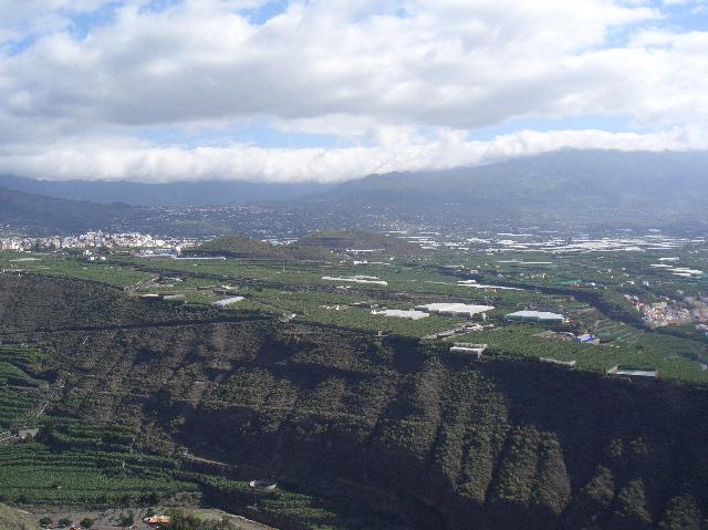 CIMG1915.JPG - Wanderung Tazacorte - El Time - Tazacorte: Blick in die Ebene von Aridane aus ca. 260 m Höhe (Panoramabild 2)