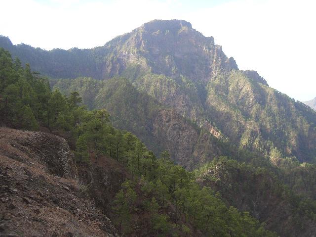 CIMG1942.JPG - Wanderung Cumbrecita - la Faya - Cumbrecita: Blick zum Pico Bejenado (1857m, Panoramabild 1)