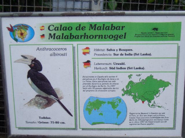 CIMG1981.JPG - Vogelpark El Paso: Tafel zum Malabahornvogel