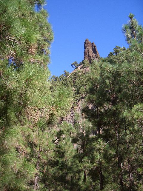 CIMG2016.JPG - Abstiegsweg zum Barranco de las Angustias: Blick zum Roque Idafe