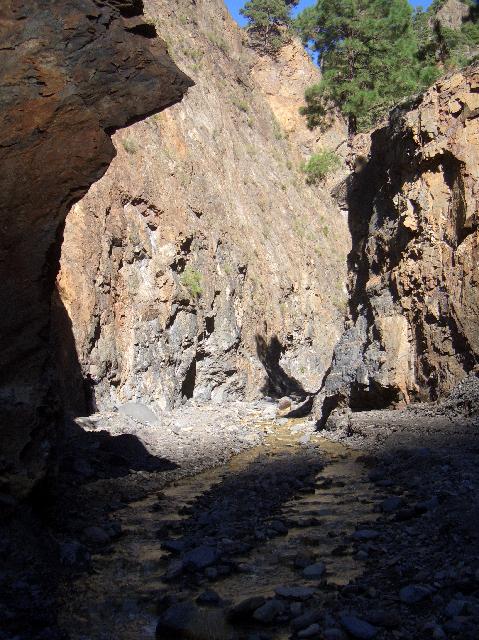 CIMG2024.JPG - Barranco de las Angustias: Blick in den Barranco des Wasserfalls Colores