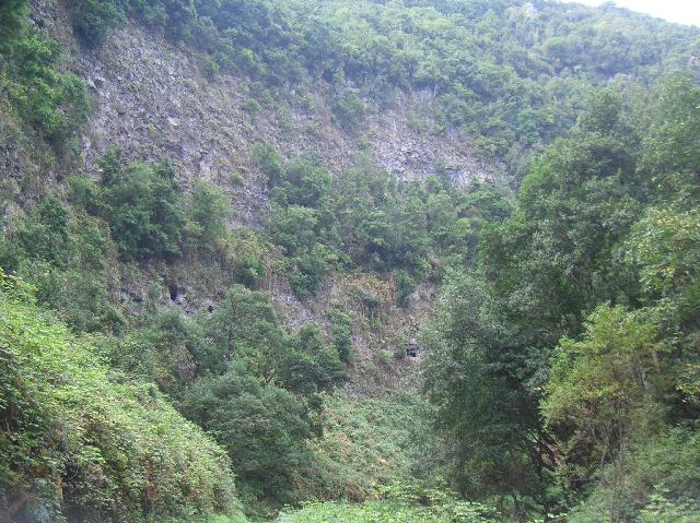 CIMG2063.JPG - Barranco de La Galga: auch kleine Höhlen sind in den Felswänden