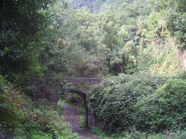 CIMG2064.JPG - Barranco de La Galga: eine Brücke für eine Wasserleitung