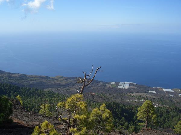 CIMG2950.JPG - Vulkan Tajuya (1078m): Blick vom Kraterrand nach Puerto Naos (Panoramabild 6).