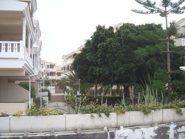 CIMG3037.JPG - Puerto Naos/Hotel Sol La Palma: Blick in unseren Appartementhof.