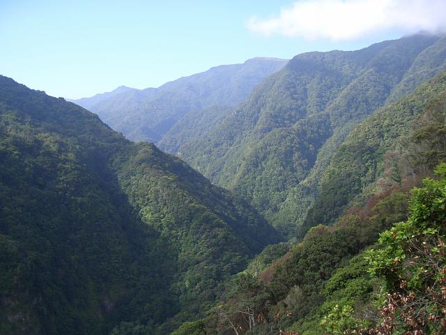 CIMG1318.JPG - Levada da Janela: Blick voraus auf den Höhenzug des Nationalparkes.