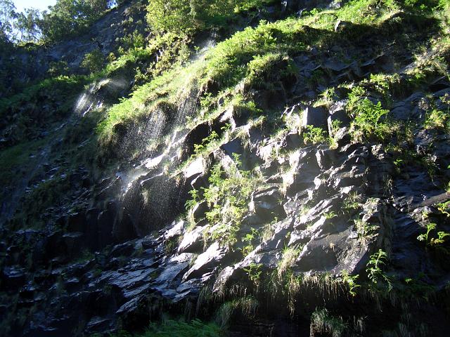CIMG1349.JPG - Rabaçal: An der Felswand am Risco-Wasserfall rinnen viele Rinnsale herab.