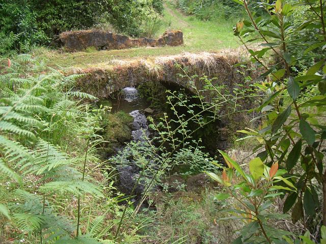 CIMG1497.JPG - Wanderung bei Pico das Pedras: Eine alte Steinbrücke wird überquert.