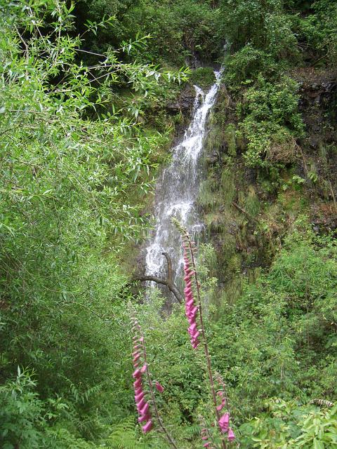 CIMG1498.JPG - Wanderung bei Pico das Pedras: Auch hier wieder ein Wasserfall.