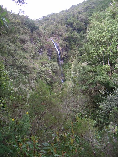 CIMG1582.JPG - Levada do Caldeirão Verde: Der nächste Wasserfall.