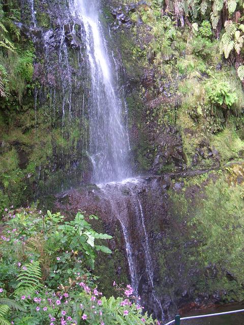 CIMG1583.JPG - Levada do Caldeirão Verde: Der nächste Wasserfall (Zoom).