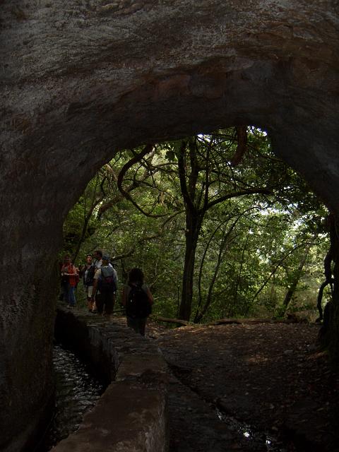 CIMG1586.JPG - Levada do Caldeirão Verde: Der lange Tunnel ist gleich geschafft.