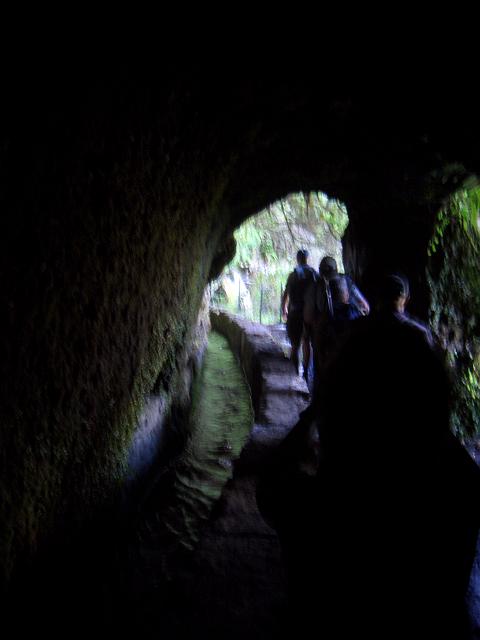 CIMG1589.JPG - Levada do Caldeirão Verde: Kurz vor dem Ende dieses Tunnels gab es rechts eine kleine Galerie.
