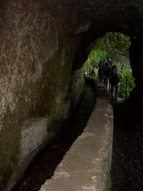 CIMG1590.JPG - Levada do Caldeirão Verde: Auch dieser Tunnel ist gleich durchquert.