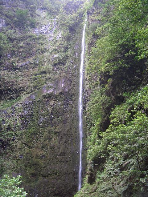 CIMG1593.JPG - Levada do Caldeirão Verde: Das ist der Wasserfall im Caldeirão Verde (Grüner Kessel).