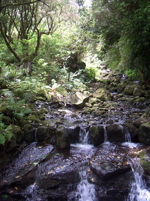 CIMG1601.JPG - Levada do Caldeirão Verde: Wasserfall am Rib. do Seixal (auf dem Rückweg bei ganz anderem Licht).