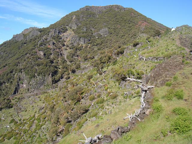CIMG1610.JPG - auf dem Höhenweg zwischen Teixeira und Pico Ruivo: Der Pico Ruivo (1861m) ist nun schon sehr nah und die Gipfelaufbauten deutlich zu erkennen.