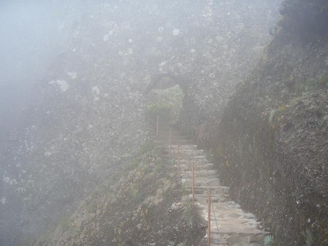 CIMG1632.JPG - Höhenweg zwischen Pico Ruivo und Pico do Areeiro: Anstieg auf Treppenstufen.