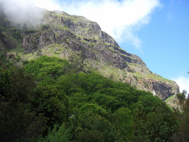 CIMG1727.JPG - Wanderung am Pico Grande: Ansonsten ist es schön grün.