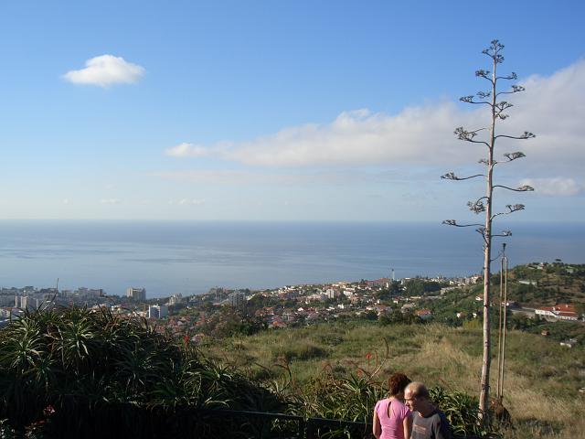 CIMG1745.JPG - Funchal/Pico dos Barcelos (355m): Blick über Funchal IV.