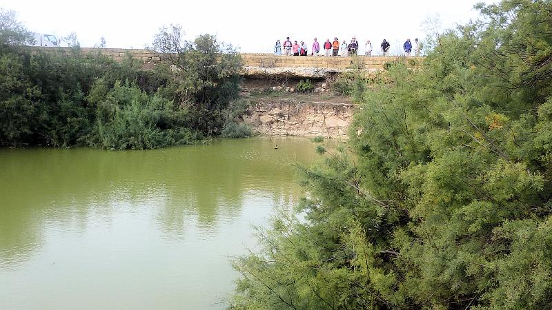 P1010443m.JPG - Ghadira ta Sarraflu: Ente auf dem Süßwasserteich (einziger Teich mit Zugang zum Grundwasser).