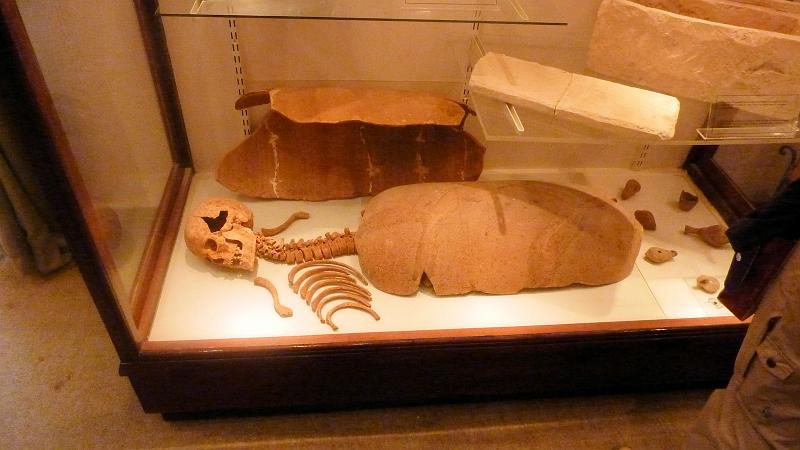 P1010470m.JPG - Victoria: Skelett im Archäologischen Museum.