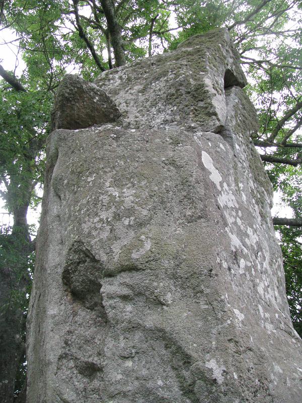 IMG_2561.JPG - Erdeven: in diesen Hinkelstein hat der Blitz eingeschlagen und ihn gespalten