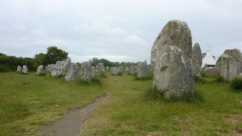 P1020838.JPG - Erdeven: Menhir-Felder, auch als Hinkelsteine bekannt