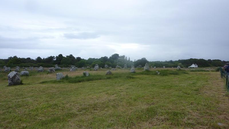 P1020855.JPG - Carnac: Blick über das Megalithenfeld mit ca. 4000 Steinen