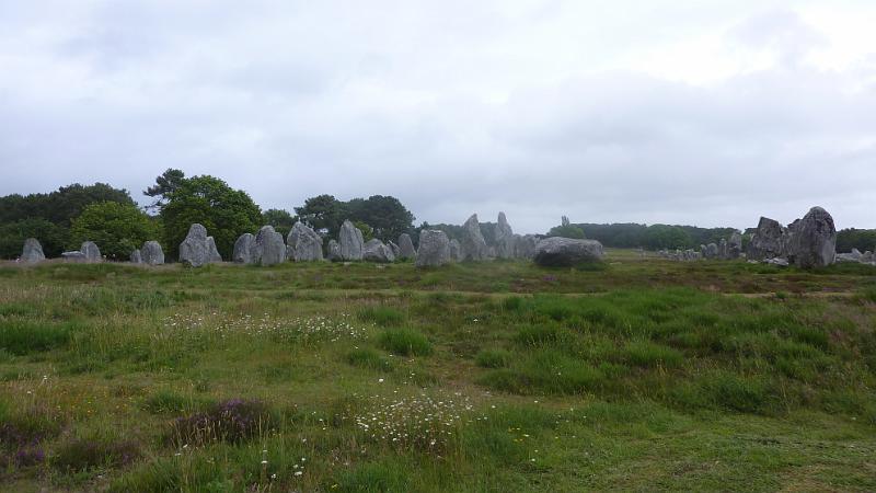 P1020857.JPG - Carnac: weiteres Megalithenfeld