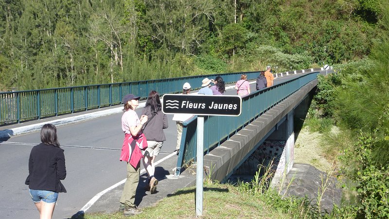 P1020150.JPG - Cirque de Salazie: Brücke über Rivière des Fleurs Jaunes