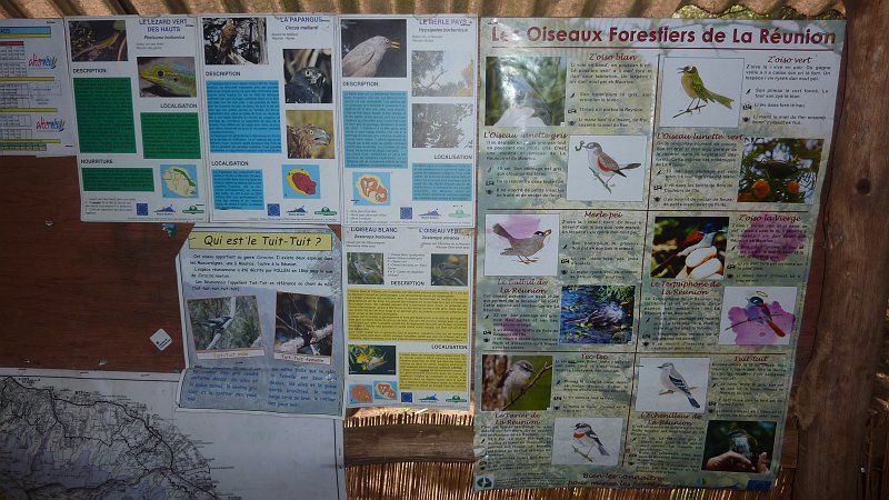 P1020287.JPG - Cirque de Cilaos: Am Teehaus eine Tafel mit der einheimischen Vogelwelt