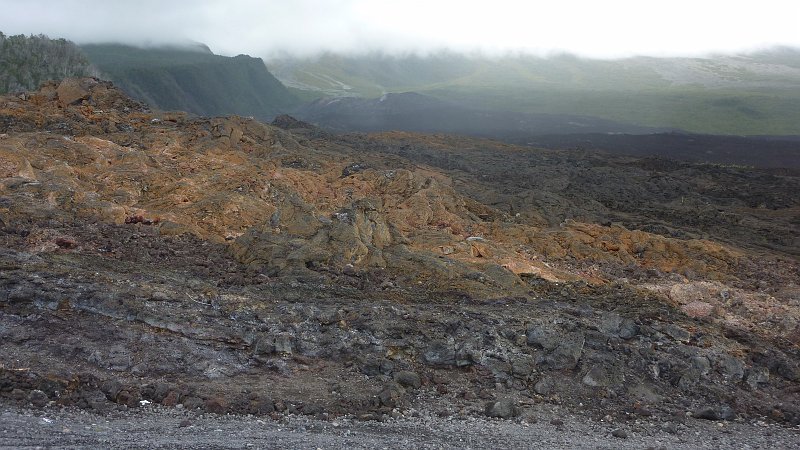 P1020377.JPG - le Grand Brulé: Blick über die jüngeren Lavafelder