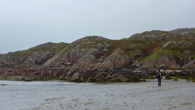 P1010665.JPG - Insel Mull/Fionnphort: Auf diesen Felsen sonnen sich oft die Seehunde...