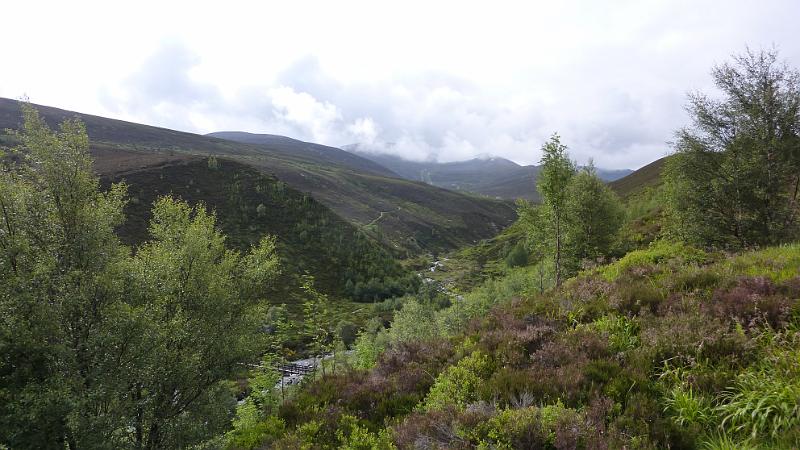 P1010900.JPG - Wanderung in den Cairngorms: In Richtung der Berge im Hintergrund soll es weitergehen