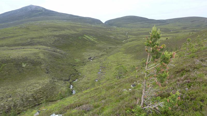P1010903.JPG - Wanderung in den Cairngorms: der weitere Wanderweg geht durch den Einschnitt in der Bildmitte hinten