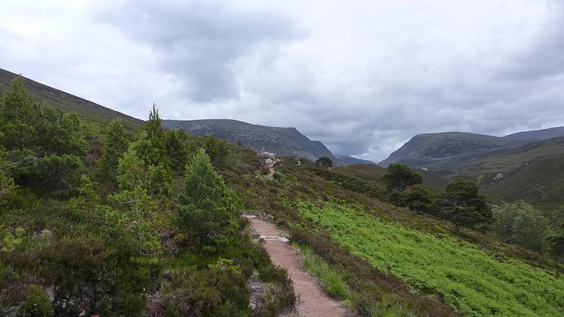 P1010921.JPG - Wanderung in den Cairngorms: der Abstieg zieht sich nun gemächlich über mehrere kleine Bergkuppen hin